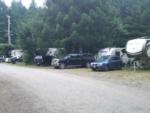 The road next to the RV sites at MYSTIC FOREST RV PARK - thumbnail