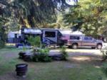 A trailer and truck parked in a shaded site at MYSTIC FOREST RV PARK - thumbnail
