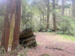Tent site G surrounded by tall trees at MYSTIC FOREST RV PARK - thumbnail