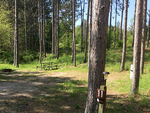 Shady sites at Whitewater Township Park - thumbnail