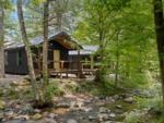 Cabins in the trees near a brook at Roamstead - thumbnail