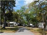 View larger image of RV sites along one of the paved roads at RICE CREEK RV RESORT image #3