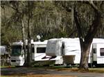 View larger image of RVs in sites under trees at RICE CREEK RV RESORT image #6