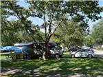 A motorhome and car under a tree at SCOTT'S FAMILY RV-PARK CAMPGROUND - thumbnail