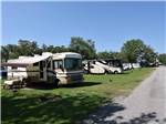 A row of grassy RV sites at SCOTT'S FAMILY RV-PARK CAMPGROUND - thumbnail
