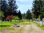View larger image of A large grassy area with a picnic bench at REDWOOD MEADOWS RV RESORT image #9