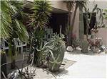 Front office with desert landscaping at PRINCE OF TUCSON RV PARK - thumbnail