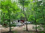 A motorhome in a dirt site surrounded by trees at The playground equipment at HUNGRY HORSE FAMILY CAMPGROUND - thumbnail