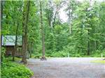 A gravel path leading to campsites at HICKORY RUN CAMPGROUND - thumbnail