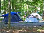 Tents pitched at campsites at HICKORY RUN CAMPGROUND - thumbnail