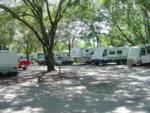 The gravel road going thru the campground at HAPPY TRAVELER RV RESORT - thumbnail