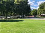 A grassy area by the RV sites at CARL PRECHT MEMORIAL RV PARK - thumbnail
