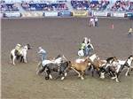 Men gathering the horses at the rodeo nearby at CARL PRECHT MEMORIAL RV PARK - thumbnail