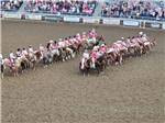 Ladies dressed in pink on horses nearby at CARL PRECHT MEMORIAL RV PARK - thumbnail