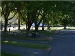 The interior road flanked by RV sites at Carl Precht Memorial RV Park - thumbnail