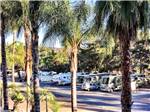 View larger image of Trailers and RVs camping at RANCHO LOS COCHES RV PARK image #8
