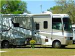 View larger image of A motorhome in a RV site at SOUTHERN AIRE RV RESORT image #8