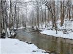 The stream on a snowy day - thumbnail