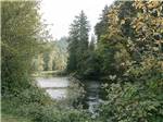 View larger image of A view of the tree lined river at CAMP KALAMA RV PARK image #9