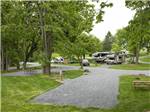 RV sites surrounded by grass amid tall trees at COUNTRY ACRES CAMPGROUND - thumbnail