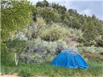 One of the tent camping sites at BRYCE-ZION CAMPGROUND - thumbnail