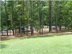 View larger image of Camping sites surrounded by tall trees at SHENANDOAH VALLEY CAMPGROUND image #1