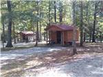 View larger image of A couple of the rental camping cabins at BEAN POT CAMPGROUND image #3