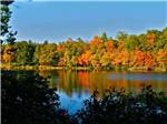 The river surrounded by autumn color trees at BEAN POT CAMPGROUND - thumbnail