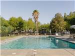 A view of the pool - thumbnail