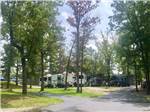 RV sites among tall shade trees - thumbnail