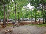 A shaded site with picnic table - thumbnail