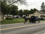 View larger image of Horse and buggy at FLORYS COTTAGES  CAMPING image #1