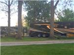Two large motorhomes under shade trees - thumbnail