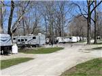 A row of RVs parked at sites - thumbnail