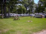 Panic area near parked RV's at Sun Retreats Amherstburg - thumbnail