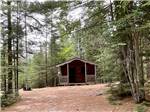 View larger image of A dirt road to one of the rental cabins at BEECH HILL CAMPGROUND  CABINS image #11