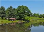 Trees across the water at RAMBLIN' PINES FAMILY CAMPGROUND & RV PARK - thumbnail