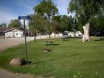 Grassy tent sites - thumbnail