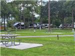 View larger image of Picnic tables at the campsites at LION COUNTRY SAFARI KOA image #10