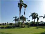View larger image of Putting green at OUTDOOR RESORT PALM SPRINGS image #8