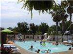 View larger image of People playing in the pool at CAJUN RV PARK image #1