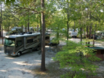 Site at Spacious Skies Sandy Run Campground - thumbnail