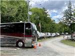 A row of RVs in back in sites at KATAHDIN SHADOWS CAMPGROUND & CABINS - thumbnail