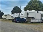 View larger image of A line of gravel RV sites at SUNSET HARBOR RV PARK image #5