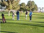 View larger image of A group of men playing golf at WESTWIND RV  GOLF RESORT image #2
