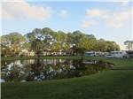 View larger image of Trailers camping on the water at SOUTHERN PALMS RV RESORT image #2