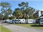 View larger image of RVs and trailers at campground at SOUTHERN PALMS RV RESORT image #5