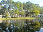 View larger image of Huge trees reflecting in clear lake at SOUTHERN PALMS RV RESORT image #8