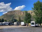 A row of trailers parked in RV sites at SWAN VALLEY RV PARK - thumbnail