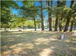 Horseshoe pits at Saratoga RV Park - thumbnail